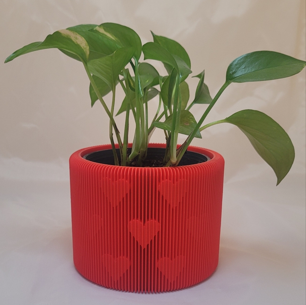 3D red heart planter